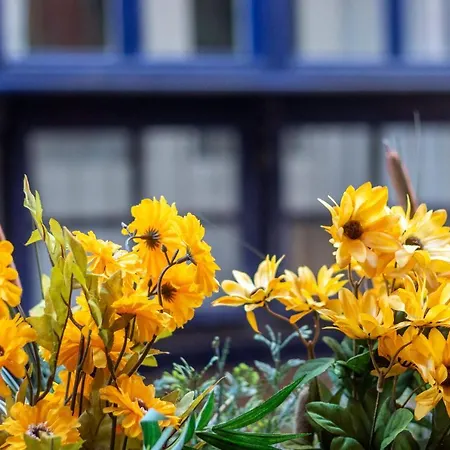 Old Town Ix By Aston شقة